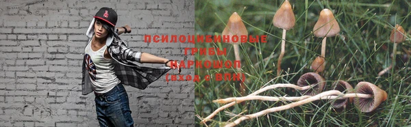 PSILOCYBIN Куйбышев