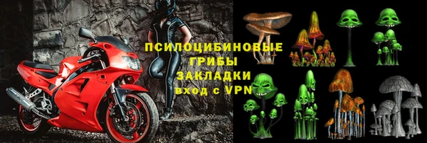 ECSTASY Кукмор